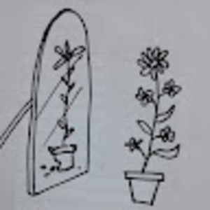 Meet your Posher, Olive